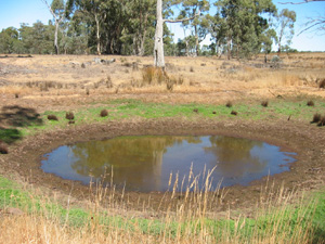 Waterhole on a drying creek in Central Victoria