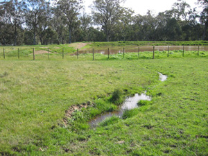 Farm dam polluted by runoff. The owner has already fenced off the water to exclude stock.