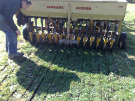 Direct seeding pasture. The seeder is cutting into existing pasture that has been sprayed to weaken any weeds. The slots can be instected to make sure that seed and fertilizer is being fed in at the required rate.